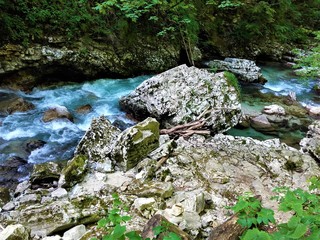 Colourful part of Radovla river in the Vintgar Gorge near Bled