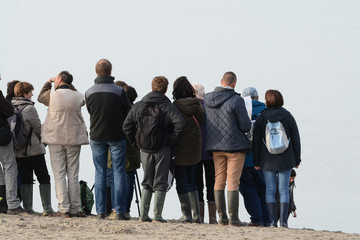 plage du Hourdel