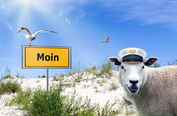 Moin, plattdeutscher Gruß in Norddeutschland mit Schild, Möwen und Schaf 