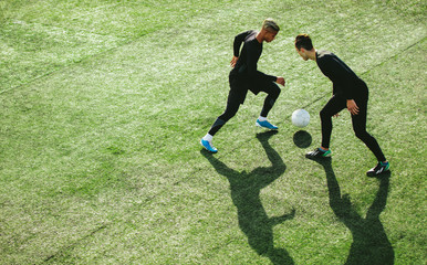 Soccer players in action on field