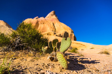 White Domes against deep blue sky in Valley of Fire State Park, Nevada
