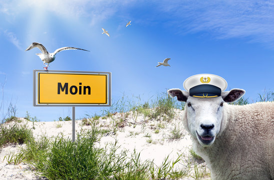 Moin, plattdeutscher Gru&szlig; in Norddeutschland mit Schild, M&ouml;wen und Schaf 