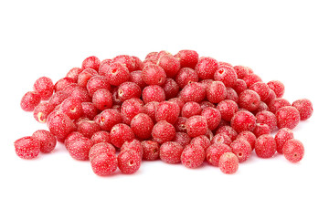 Red sea buckthorn.Shepherdia.Buffaloberry.Red berry isolated .