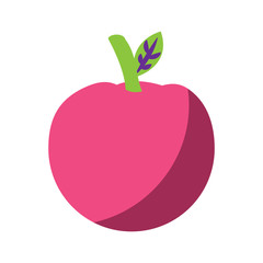 apple fruit icon image vector illustration design 