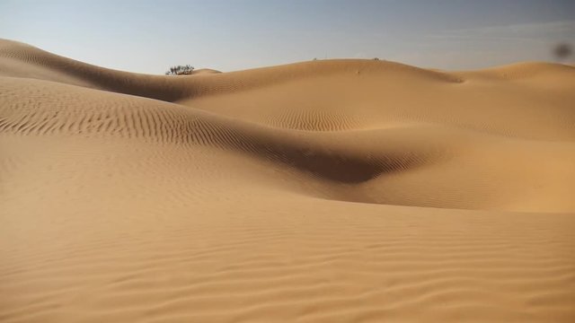 Vento sulla sabbia delle dune del deserto Sahara