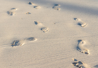 Traces on the sand.