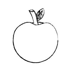 apple fruit icon image vector illustration design  black sketch line