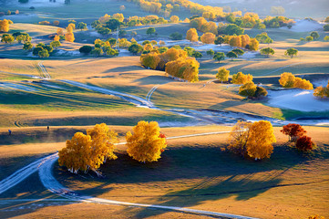 The autumn grassland scenic
