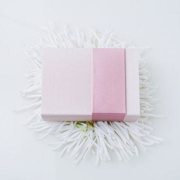 Pink present on sun made of chrysanthemum petals