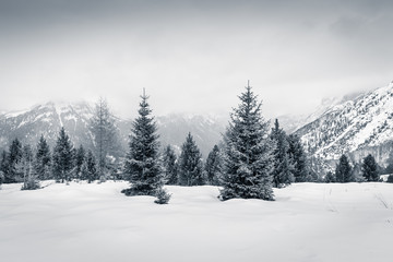Winter Christmas mood in Val di Fassa, Dolomites, Italy