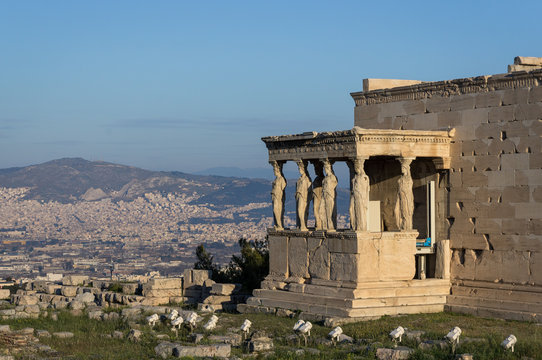 Cariatides de l'&Eacute;rechth&eacute;ion, Acropole, Ath&egrave;nes