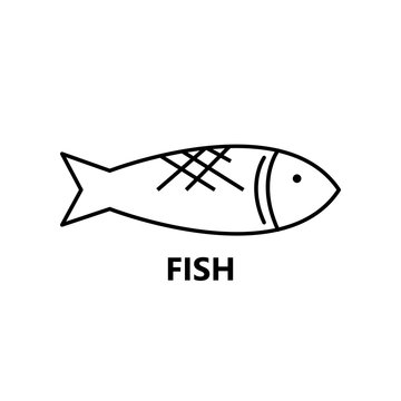 Fish symbol on the white background stroke text