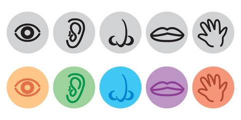 icon set eye, ear, nose, mouth, hand, vector illustration
