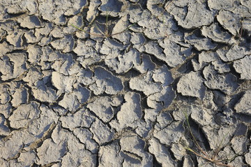 Climate warming dry chapped land