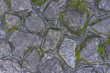 Old aged rock stone floor pattern with green mos using as texture or background