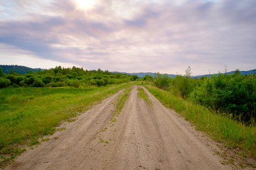 Fototapeta premium Summer landscape