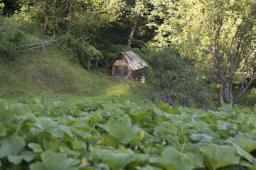Country Shack