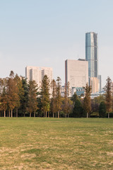 Fototapeta premium China Dalian city landscape