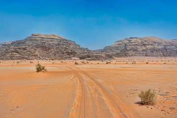 Fototapeta na wymiar Desert landscape under blue skies