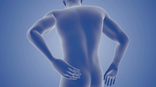 Back Injury and Pain 3D Human Male