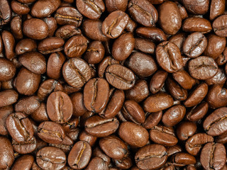 Roasted coffee beans as a background