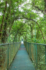 Hanging suspension bridge in Monteverde cloud forest reserve Costa Rica