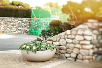 street road in korea