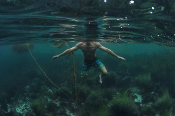 Shark P.O.V. of swimmer treading water in shallow water of ocean