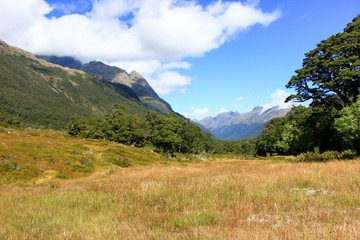 meadow in the valley under mountains