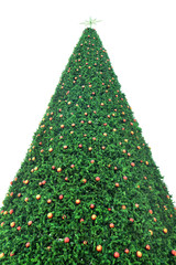 Christmas tree with colorful ornaments, isolated on white background