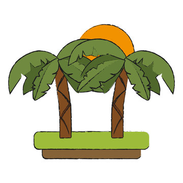 Tree palms and sun icon vector illustration graphic design