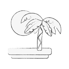 Tree palm and sun icon vector illustration graphic design