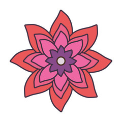 flower vector illustration
