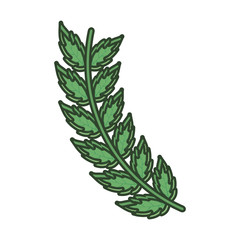 leaves  vector illustration