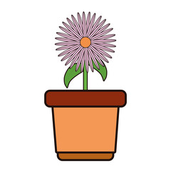 flowerpot  vector illustration