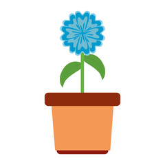 flowerpot  vector illustration