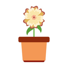flowerpot  vector illustration