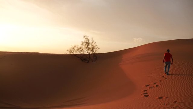 Turista cammina sulle dune del Sahara all'alba