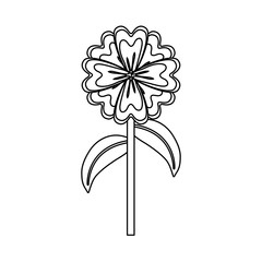 flower  stem  vector illustration