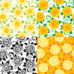 Sunflowers backgrounds. Vector seamless patterns with  sunflowers. Four kind of colors