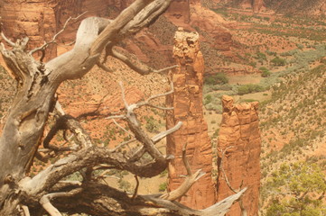 natural canyon tower