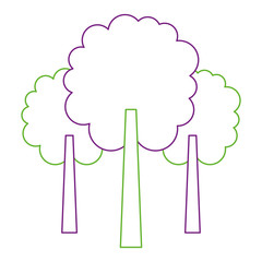 three tree foliage forest park natural botanical vector illustration