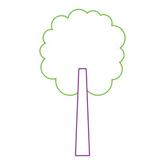 tree natural botanical ecology forest vector illustration