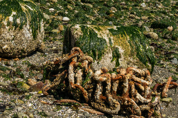 rusted chain on the beach