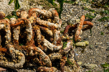 rusted chain on the beach