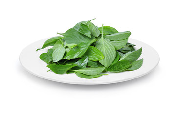 thai basil leaves in the white plate isolated on white background