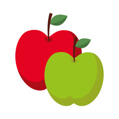two apple fruit tropical nutrition food health vector illustration