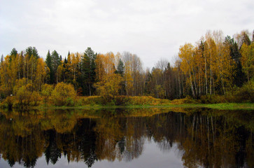 Fototapeta premium autumn morning on the river 