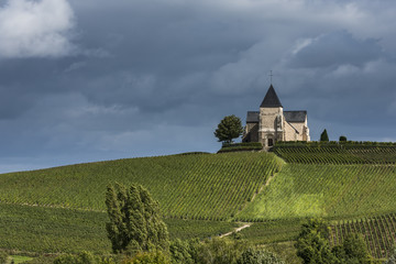 Church and Vineyards of Chavot-Courcourt