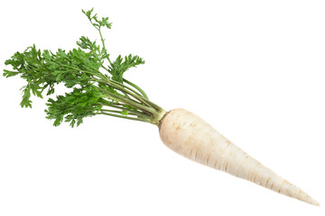 Parsnip root with leaf - obrazy, fototapety, plakaty